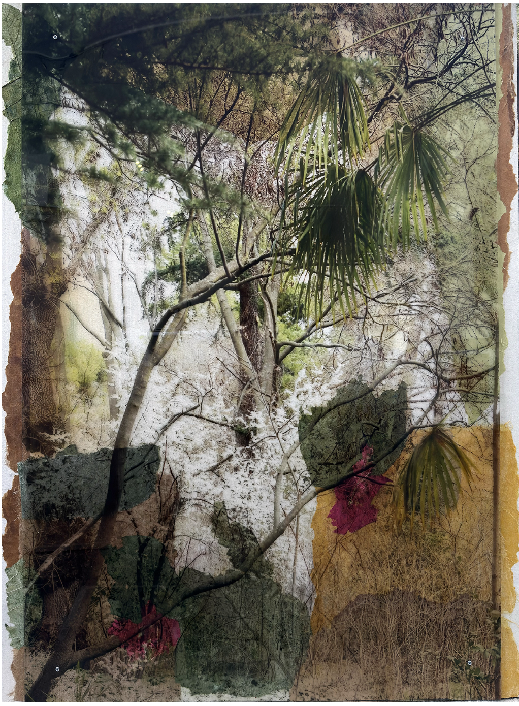 SUSANA JIMÉNEZ artwork